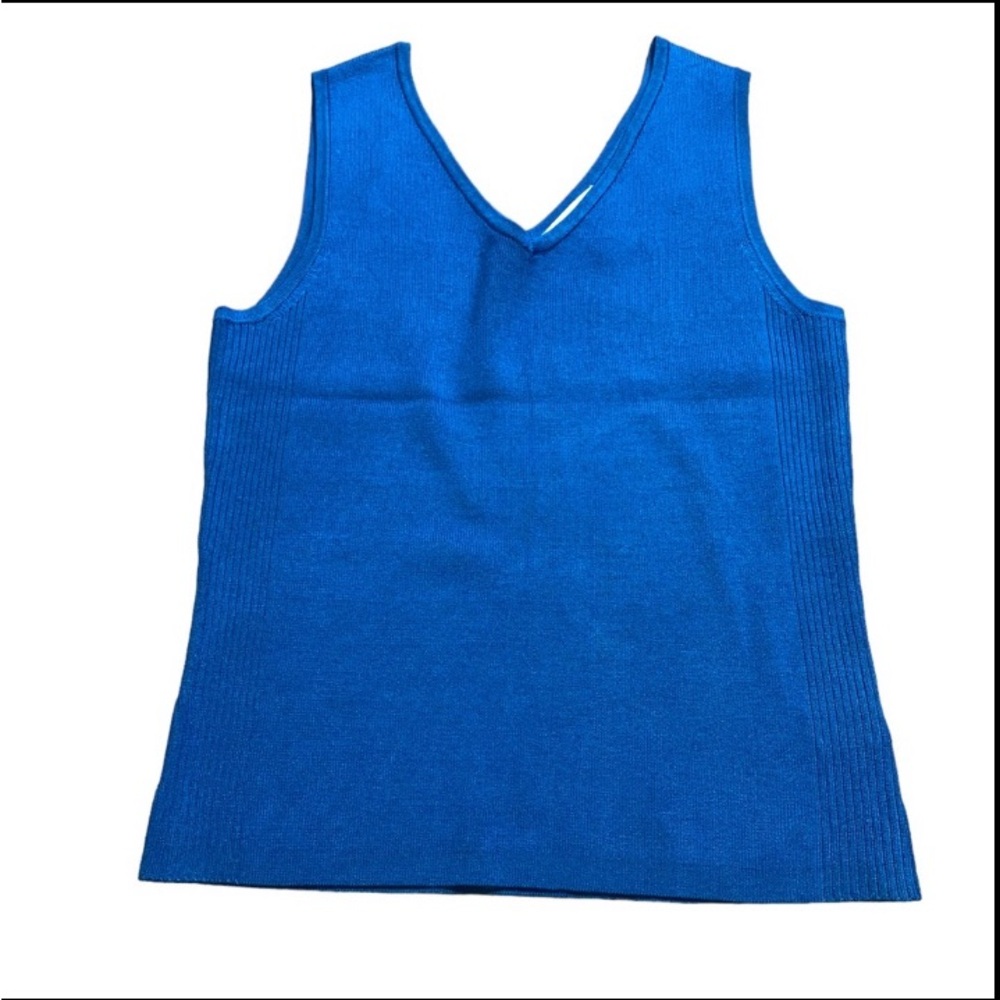 Blue Worthington Sweater Vest V Neck